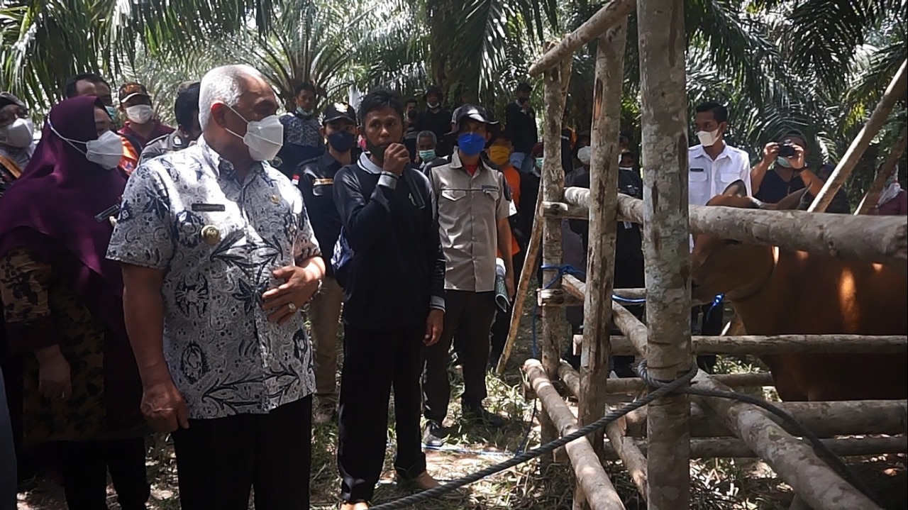 Gubernur Puji Keberhasilan Sektor Peternakan di Paser