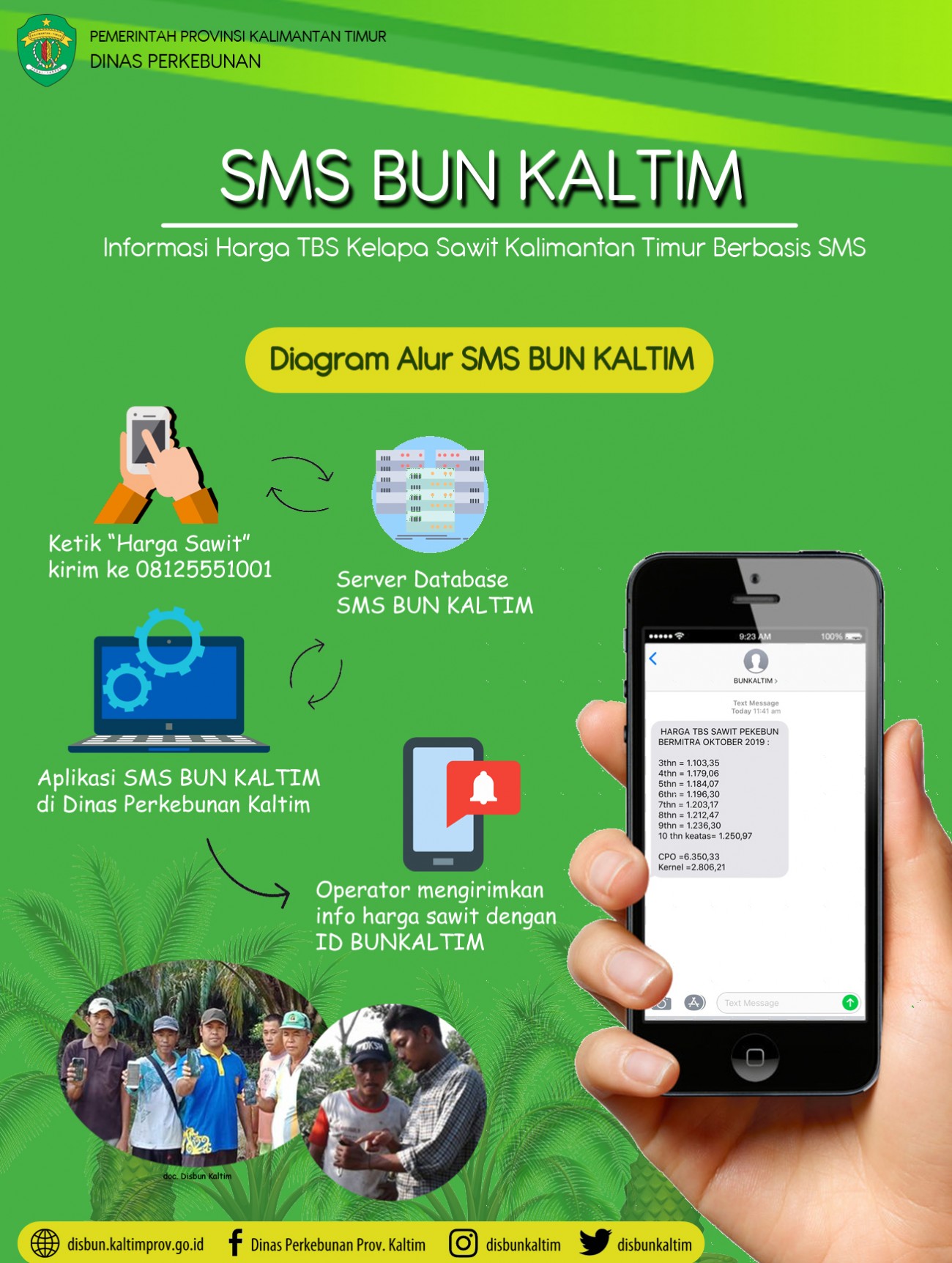SMS Bunkaltim : Informasi Harga TBS Kelapa Sawit Kalimantan Timur Berbasis SMS