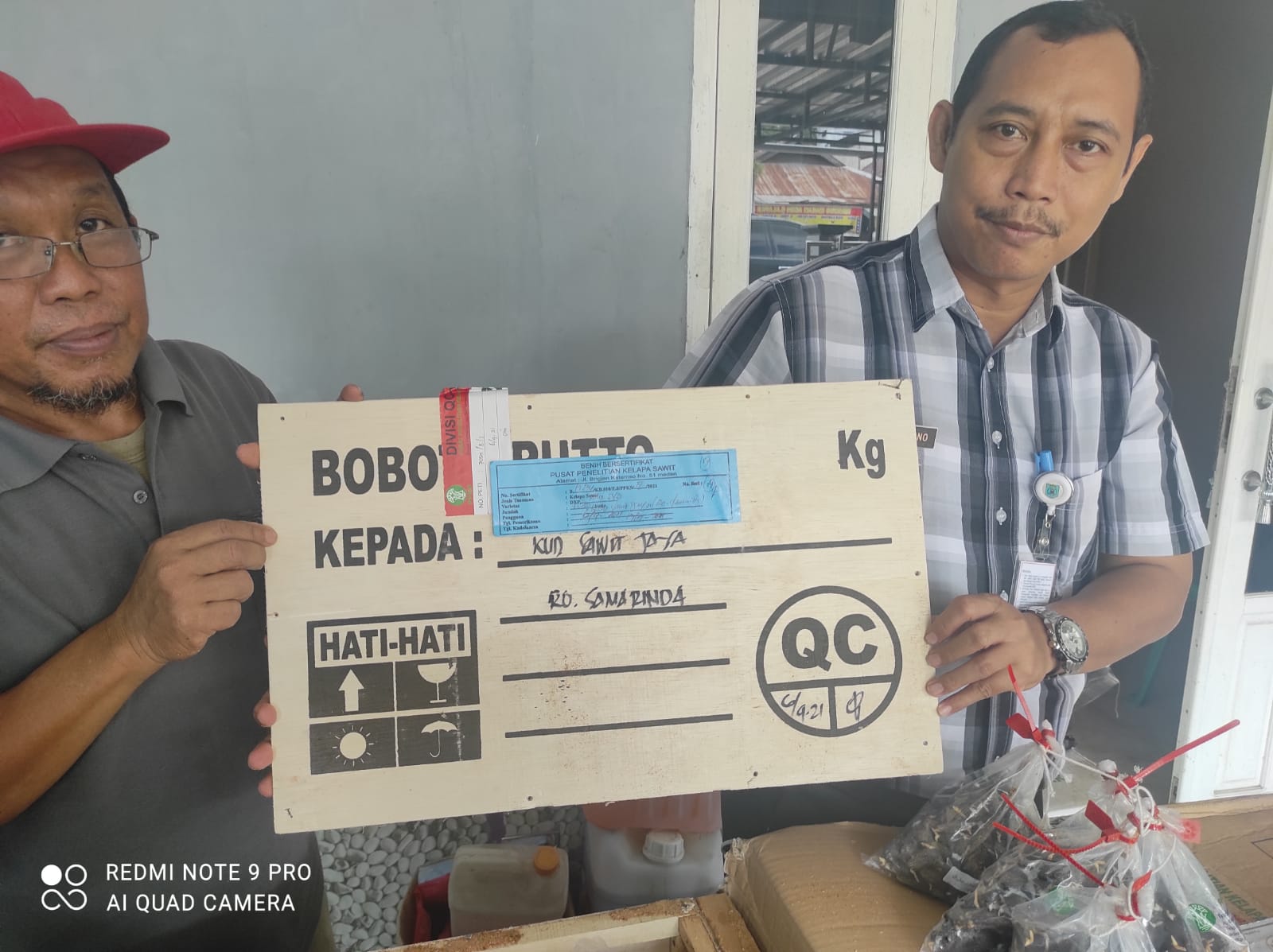 Penangkar Benih/Bibit Kelapa Sawit KUD Sawit Jaya Long Ikis  Kembangkan Lagi  40.000 Kecambah PPKS