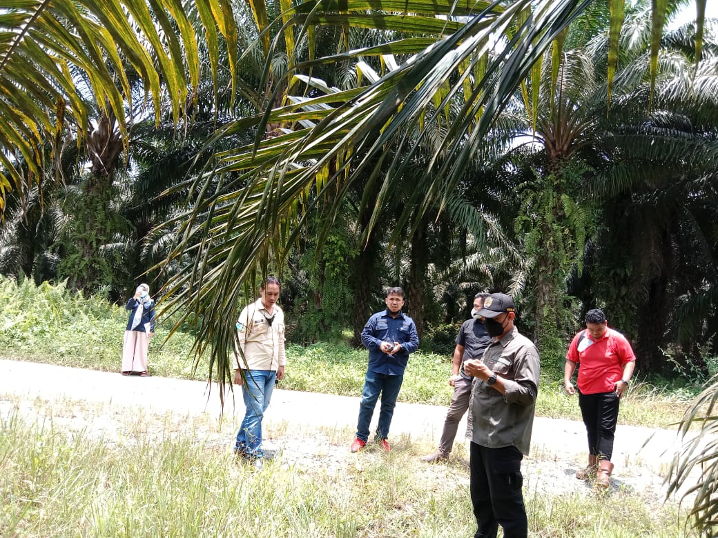 Pelaksanaan CP/CL bersama dinas perkebunan provinsi Kalimantan Timur Usulan kegiatan Sarana dan Prasarana Dalam kerangka Pendanaan BPDPKS