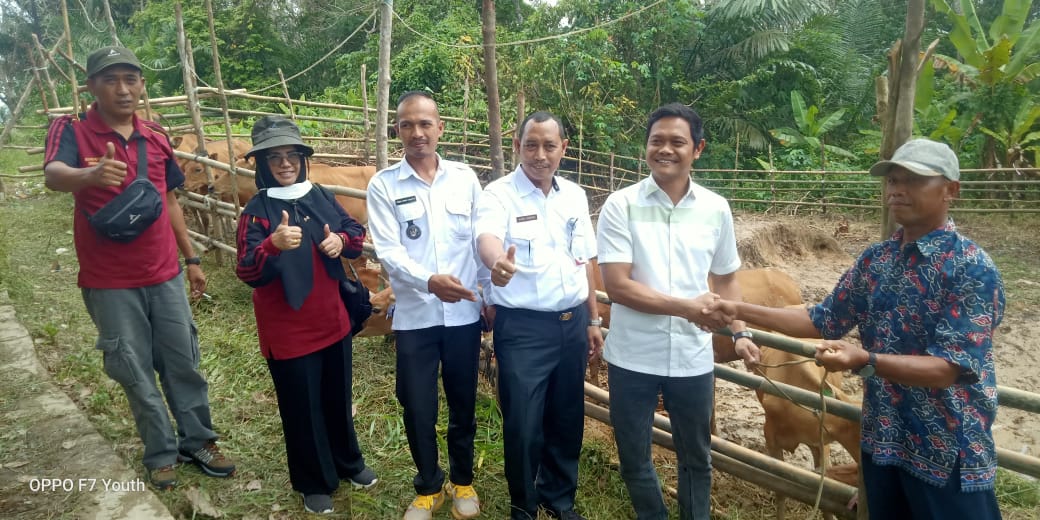 Ketua DPRD Paser Hadiri Penyerahan Sapi Bali Di Desa Mendik Long Kali