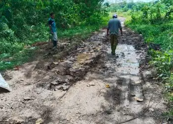 PERBAIKAN JALAN UTAMA